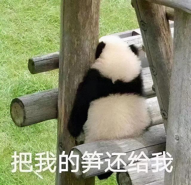 八字不好我结了冥婚在线听 八字不好我结了冥婚在线听