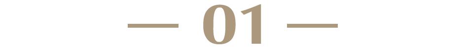 1988年11月19日八字 1988年11月19日八字