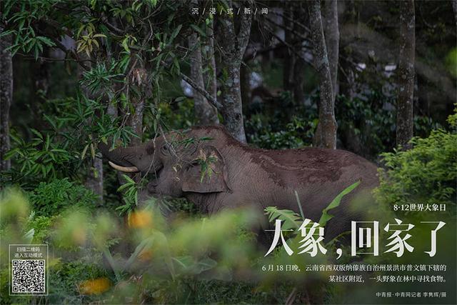 八字视频114 八字视频114