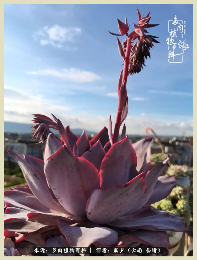 带年轮的八字词语 带年轮的八字词语