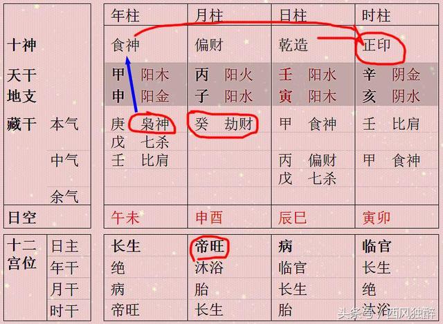 生辰八字里日支是才