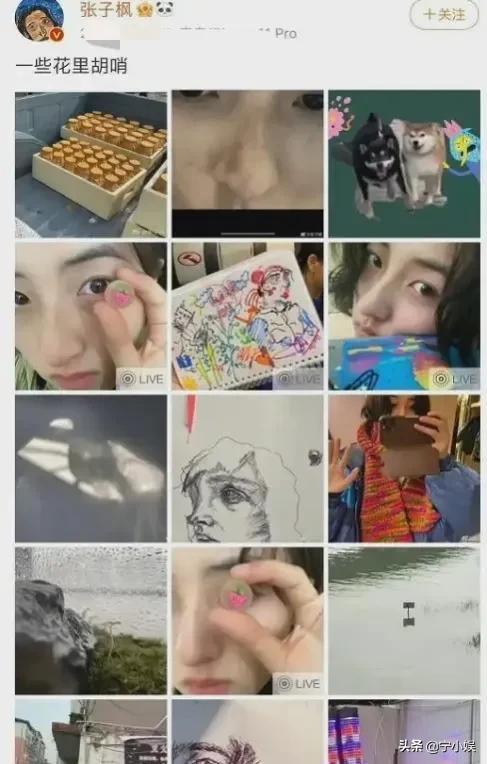 属大龙的2022运势如何
