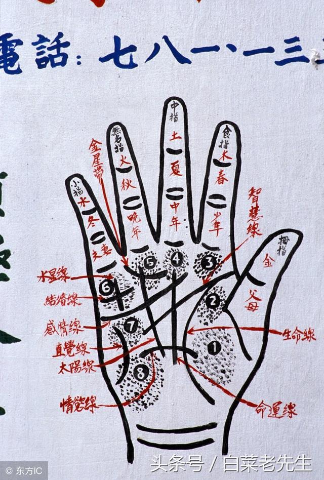 女命八字工作变动