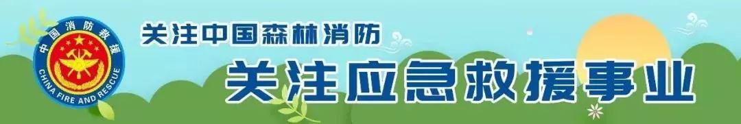 地震灾害八字 地震灾害八字