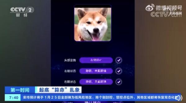 八字加两笔等于多少字 八字加两笔等于多少字
