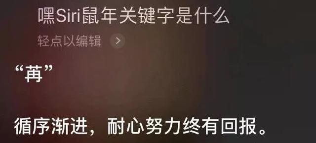 八字算命在线测字算命软件