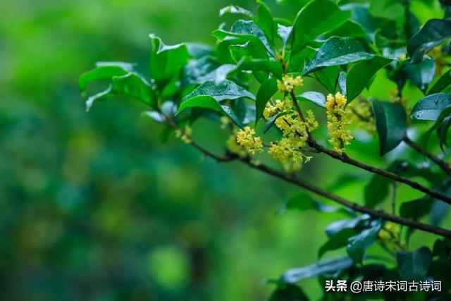 自在道人说八字笔记 自在道人说八字笔记