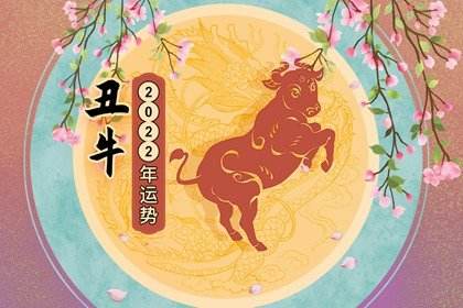2022运程免费算命