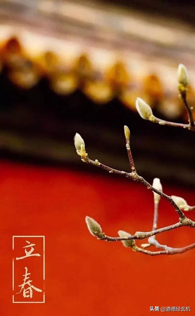 纯阴八字禁忌