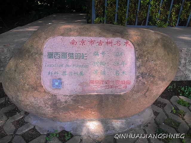 南京八字山大全 南京八字山大全