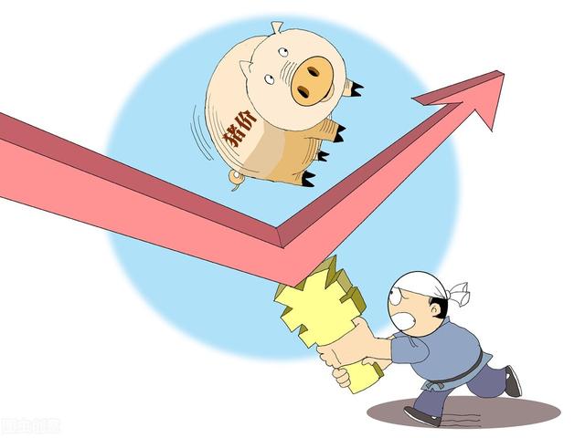 2022猪人全年运势详解 2022猪人全年运势详解
