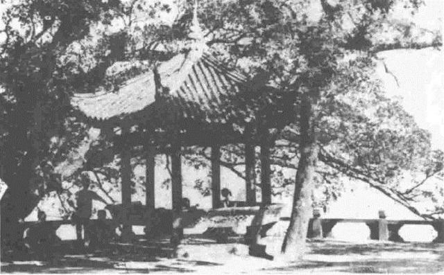 七字八字守一字打一肖 七字八字守一字打一肖