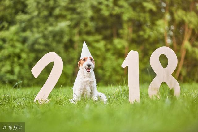 2022年龙虎蛇猪的运势