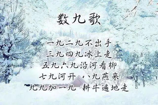 重阳节的八字分析