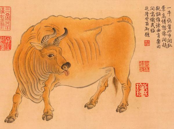 男孩属狗五行八字 男孩属狗五行八字