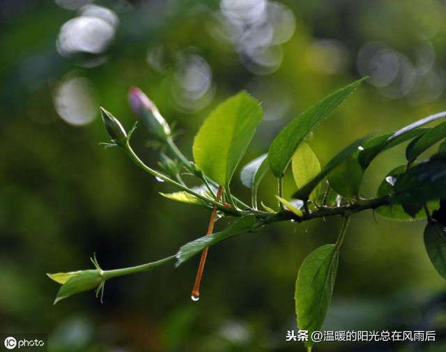 生辰八字是什么指农历 生辰八字是什么指农历