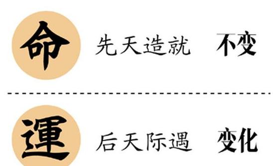 请大师分析八字含义