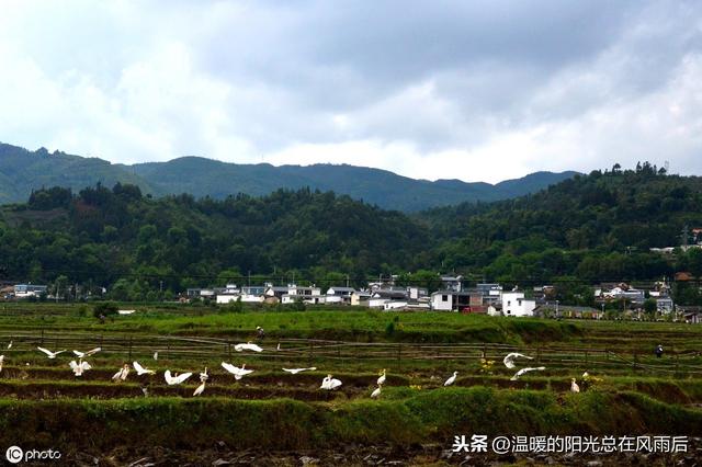生辰八字是什么指农历 生辰八字是什么指农历