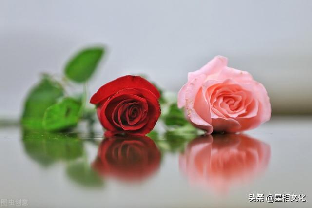 2022年属羊水瓶座女运势 2022年属羊水瓶座女运势