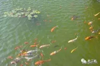 八字两个酉是什么意思 八字两个酉是什么意思