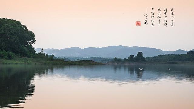 2022年猪女的全年运势如何 2022年猪女的全年运势如何