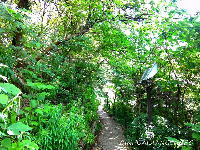 南京八字山大全 南京八字山大全