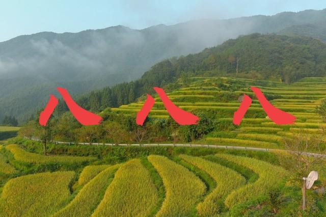 八月份鸡生辰八字 八月份鸡生辰八字