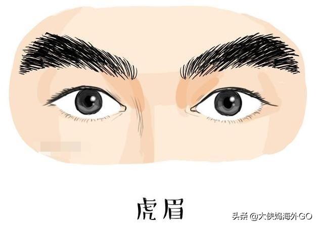 男人倒八字眉好不好 男人倒八字眉好不好