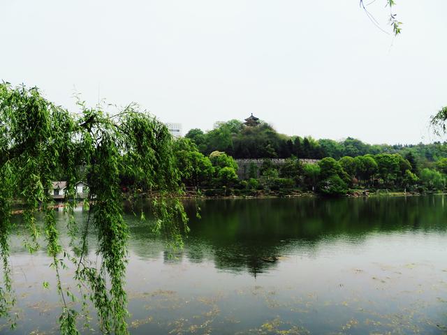 南京八字山公园的八个字