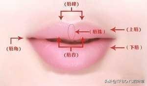 王源面相八字分析 王源面相八字分析