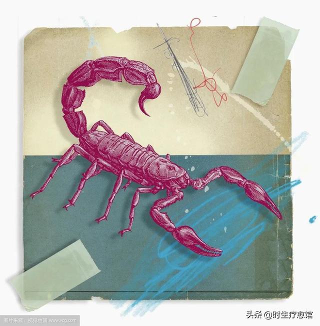 2022年星座运势alex 2022年星座运势alex