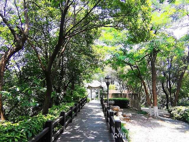 南京八字山大全 南京八字山大全