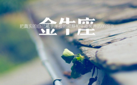属蛇金牛座命运如何2022