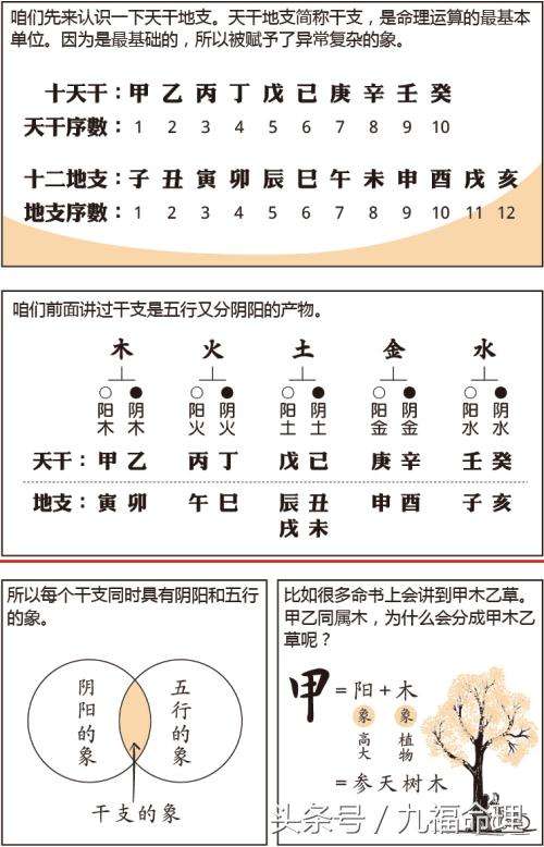 八字的戊庚壬是什么意思