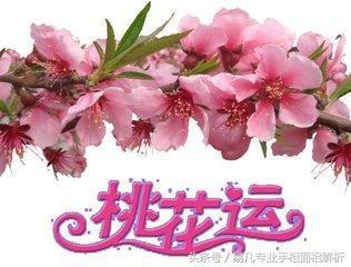 网上八字合婚准吗欢迎来电