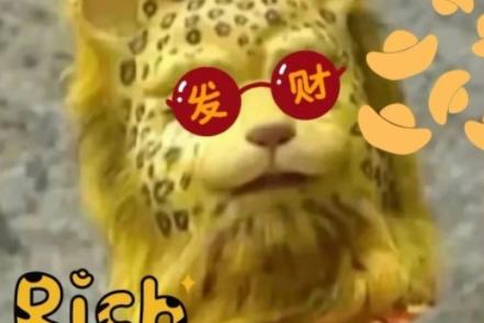 八字发到网上 八字发到网上