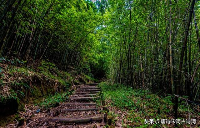 自在道人说八字笔记 自在道人说八字笔记