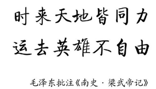 请大师分析八字含义