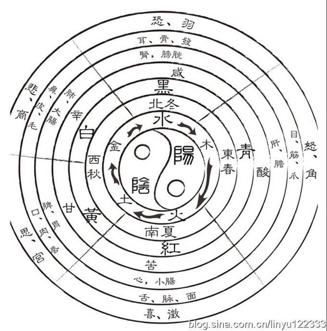 八字旺相休是什么意思
