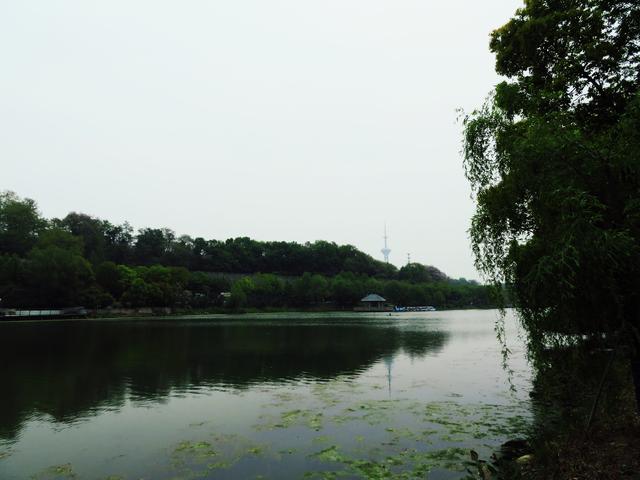 南京八字山公园的八个字