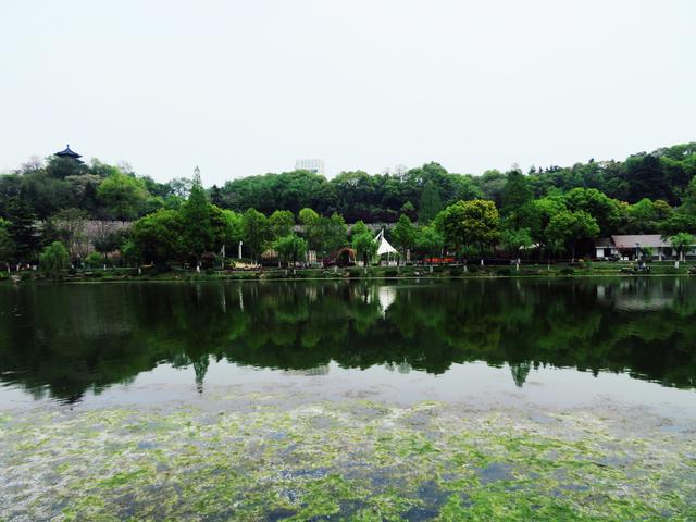 南京八字山公园的八个字