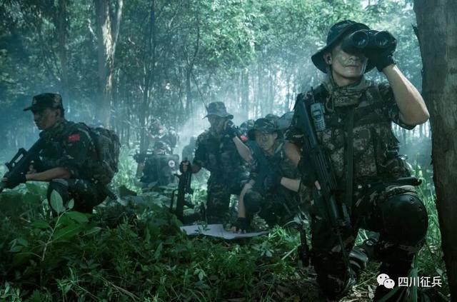2002年属马的人2022年当兵运势