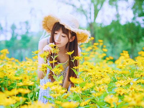 生辰八字官星查询在线