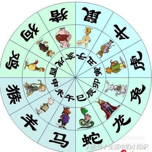 免费在线生辰八字起名算命大全
