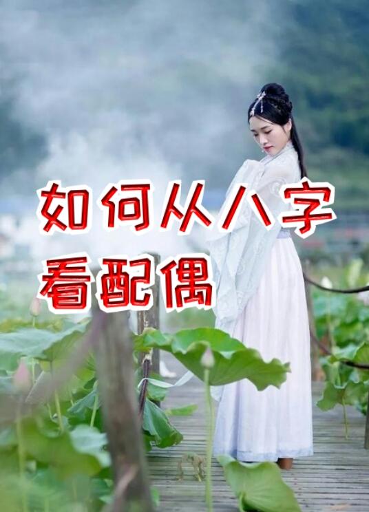 八字看配偶职业的案例 八字看配偶职业的案例