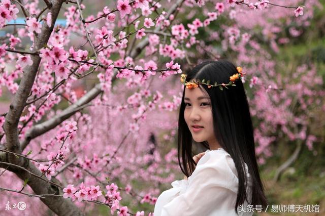 名人章宇在线八字排盘