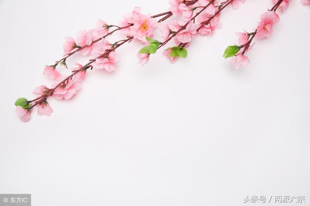 八字行什么运易结婚 八字行什么运易结婚