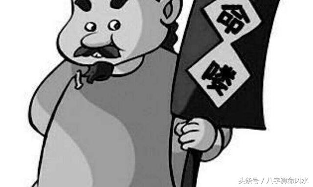 八字日柱为己卯的命运