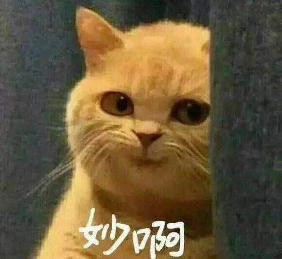 八字阴阳相法理论 八字阴阳相法理论