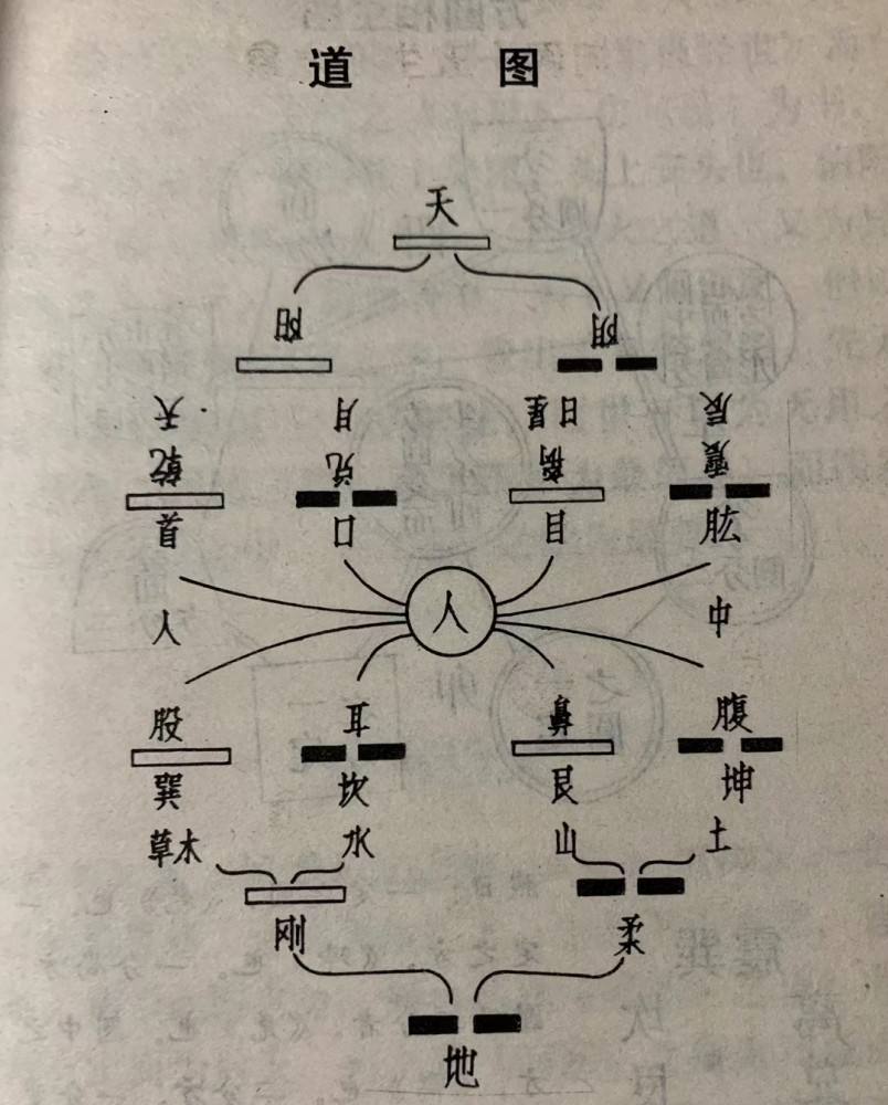 生辰八字迷信还是科学